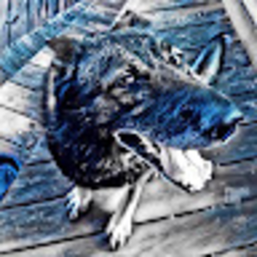 Meet your Posher, G1xtch_l0b0